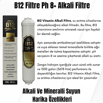 b12 filitre